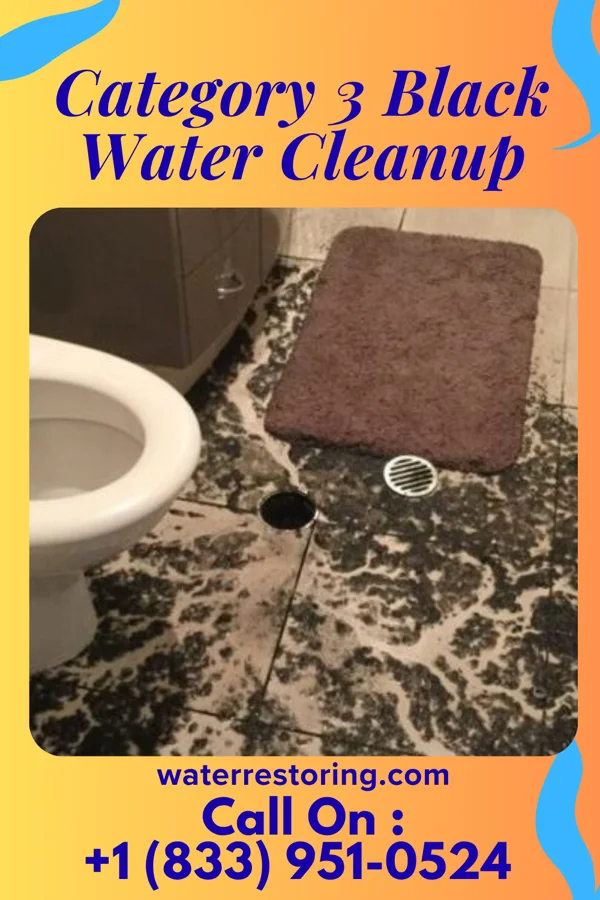 Category 3 Black Water Cleanup in Ephrata, WA